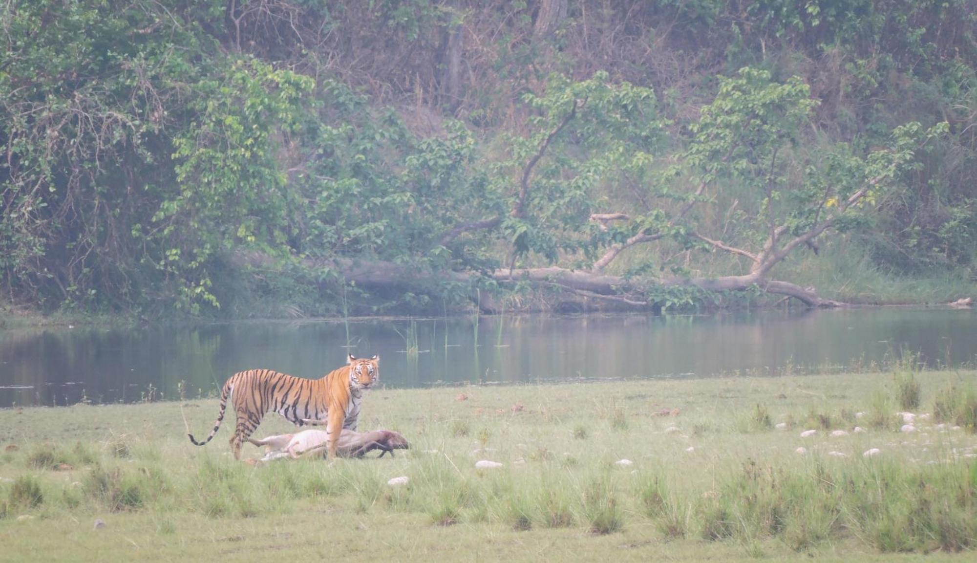 Babai Resort Pvt Ltd Bardiya Exterior foto